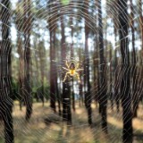 1609F 076 Spree und Havel